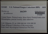 Image Associated With the Occurence